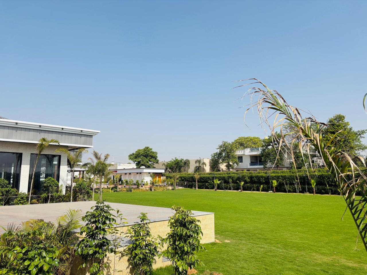 Lawn view